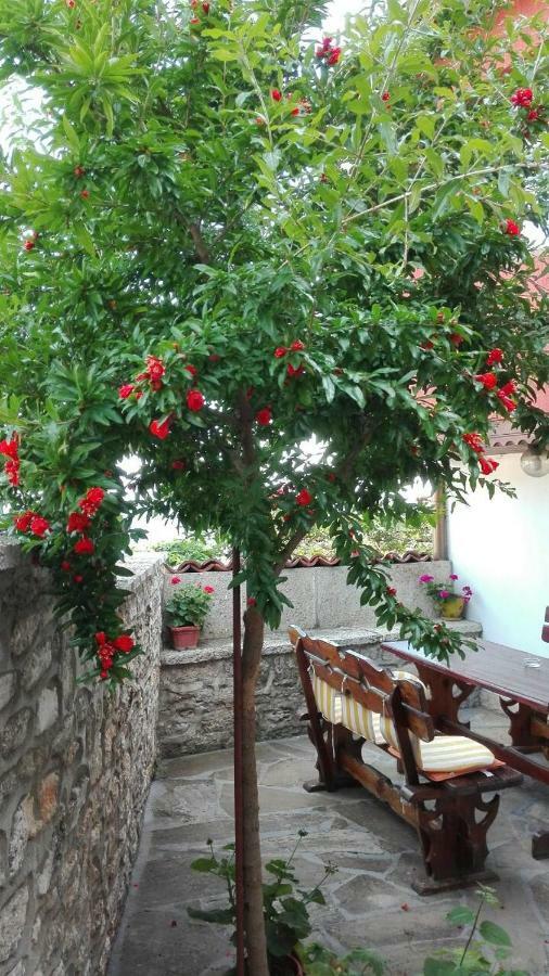 Regina'S Guesthouse Balchik Exterior foto